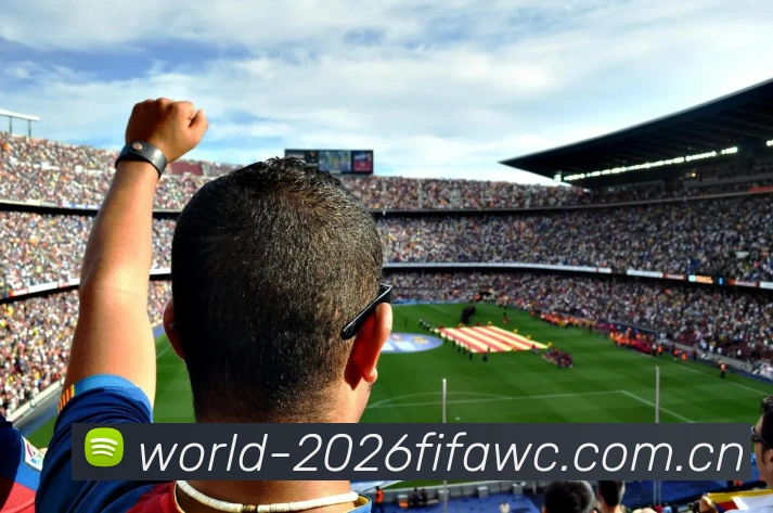 FIFA 官方体彩数据授权书
